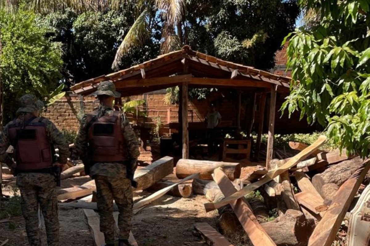 Serraria Ilegal é descoberta durante fiscalização ambiental na Bahia