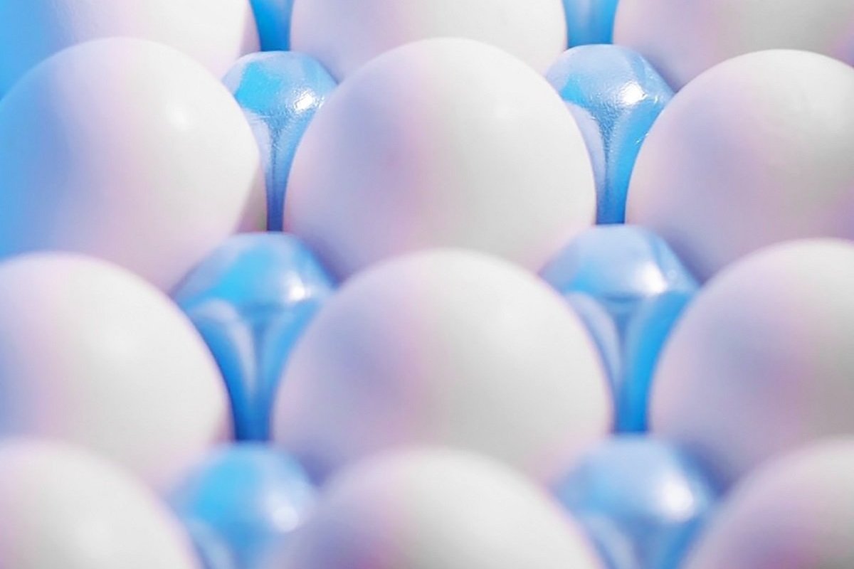 IBGE: Aumento na produção de ovos de galinha é considerada como a maior registrada desde 1987