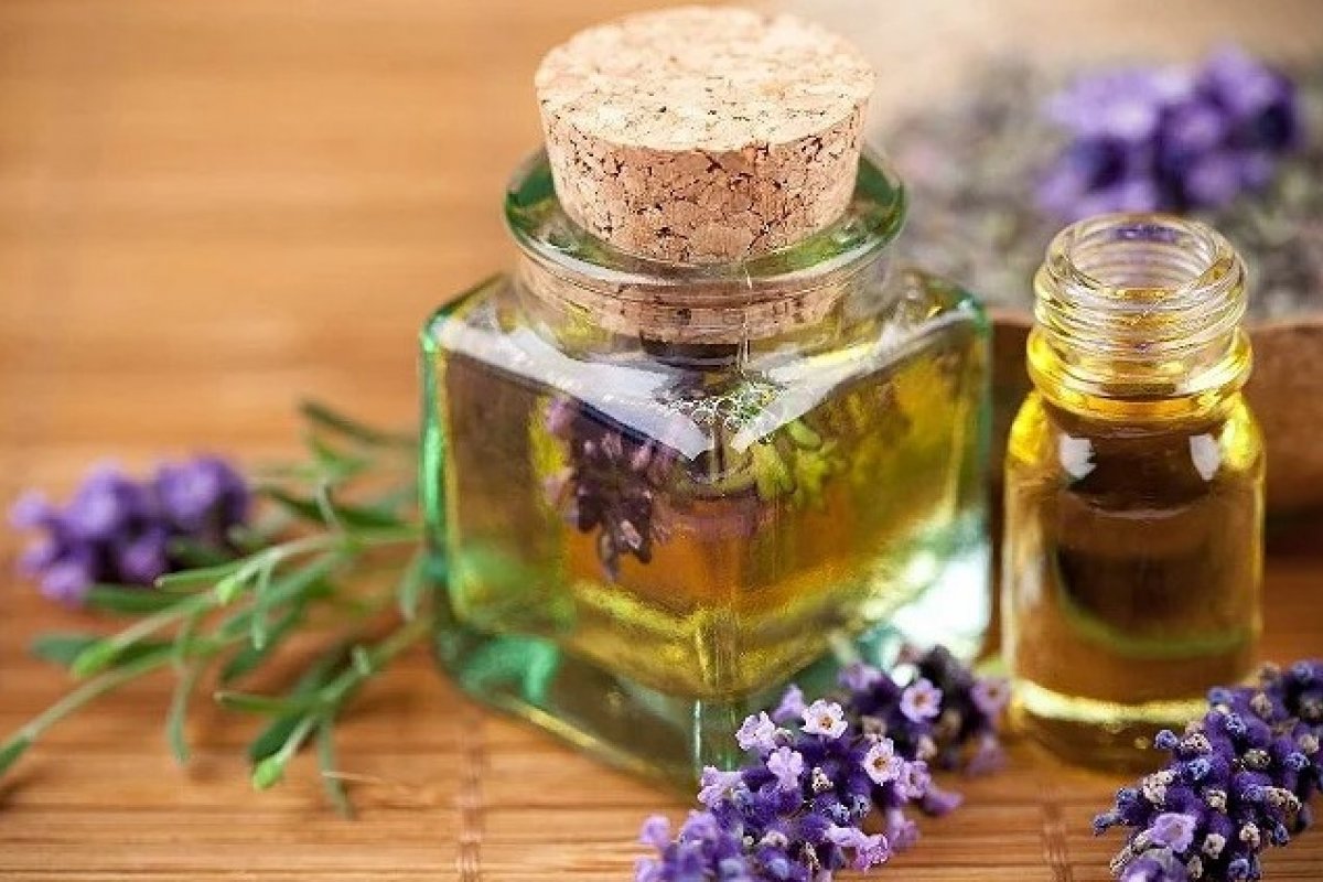 Estudo brasileiro revela que óleo essencial de lavanda melhora os sintomas da menopausa