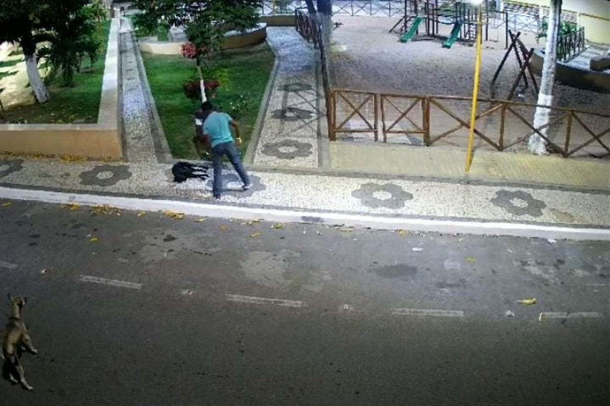 Vídeo: Cachorro fica gravemente ferido após ser agredido a pauladas em Itaberaba