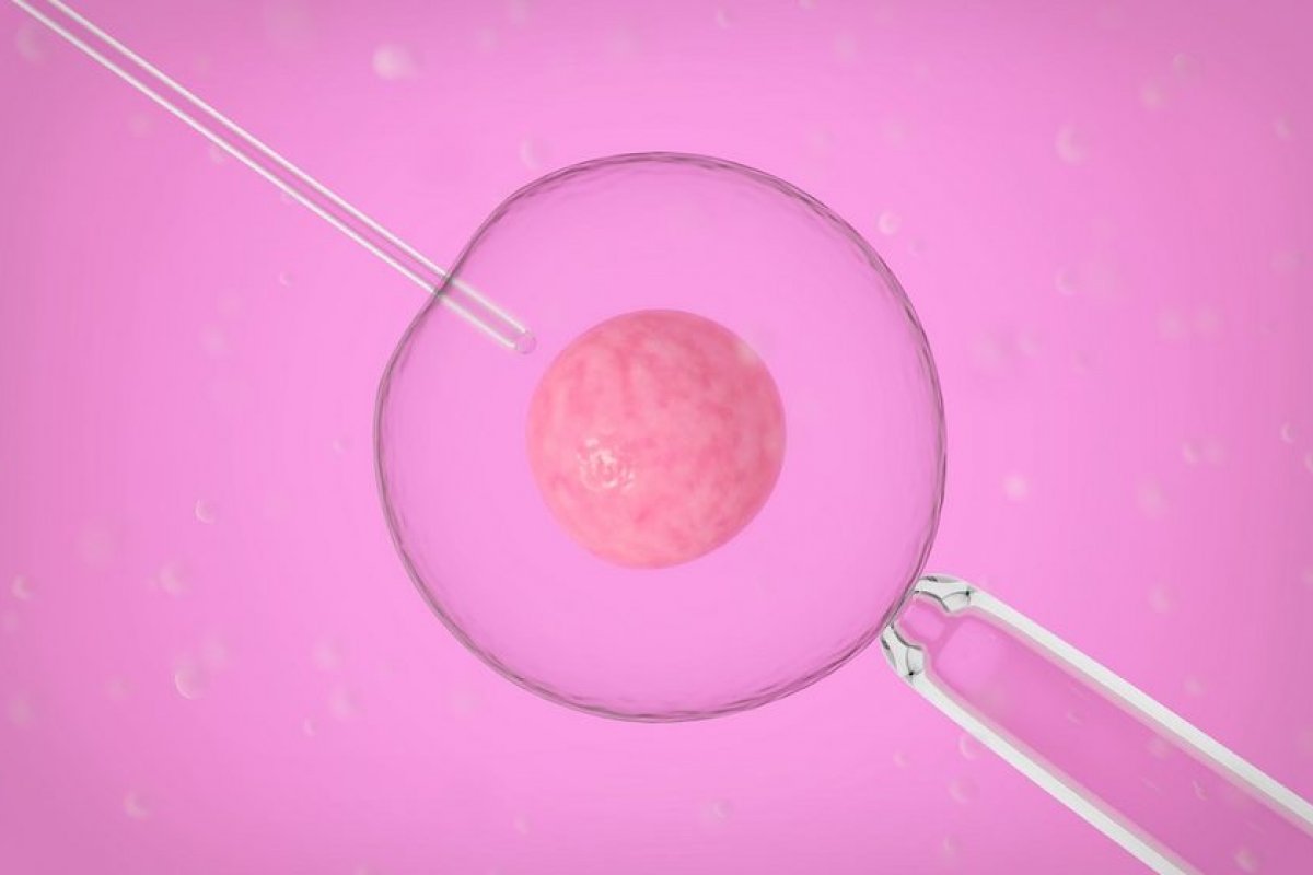 Cientistas criam embriões sintéticos de humanos em laboratório utilizando células-tronco