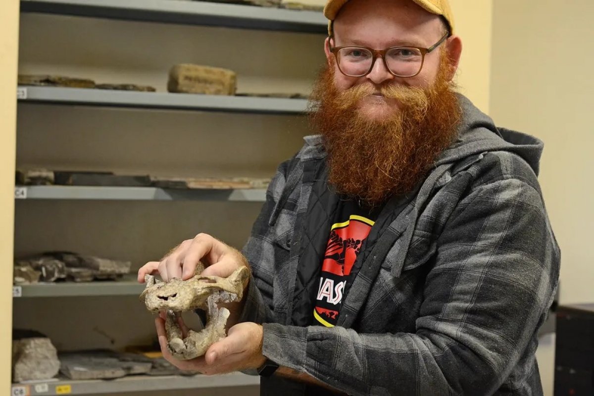 Estudo descobre espécie que viveu há 233 milhões de anos no Rio Grande do Sul