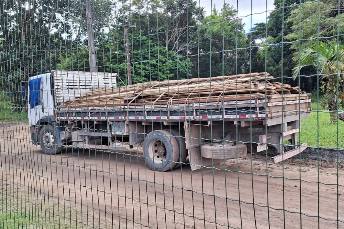 Polícia apreende caminhão com 350 tábuas de madeiras ilegais no extremo sul da Bahia