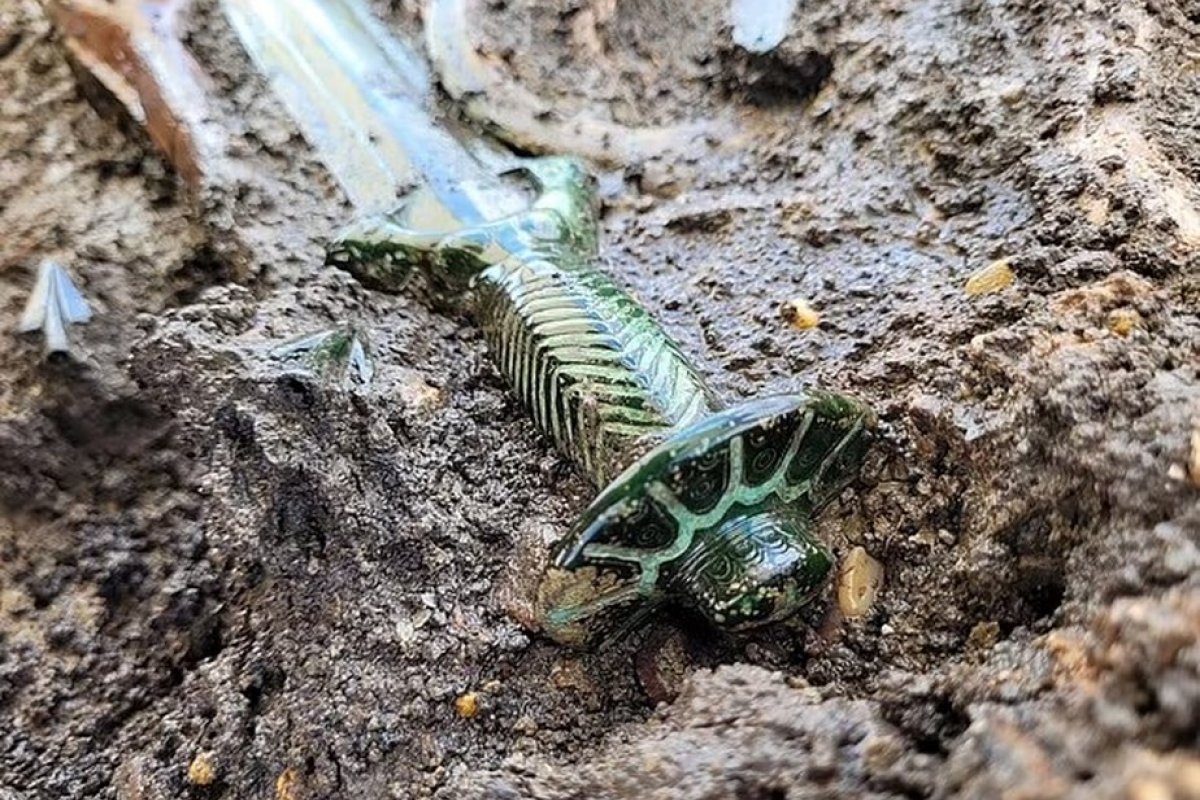 Arqueólogos encontram espada rara de 3 mil anos em cemitério na Alemanha