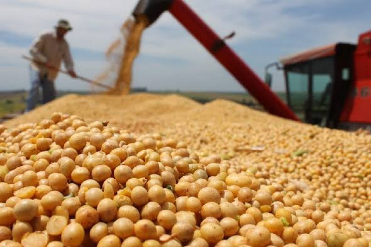 Exportações do agronegócio atingem novo recorde no mês de maio e no acumulado do ano