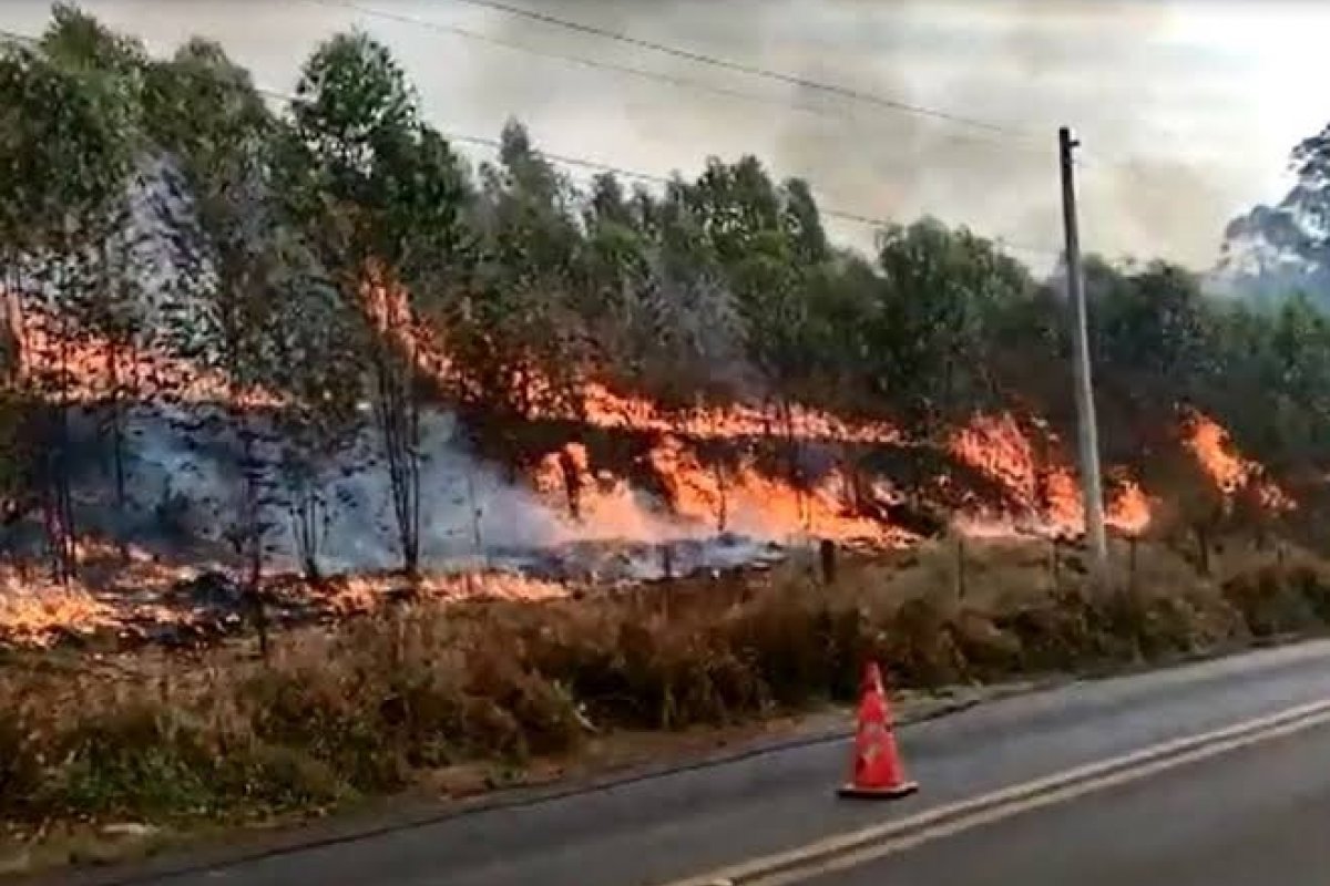 Incêndio criminoso ameaça área de mata ciliar e casas em Barreiras, Bahia