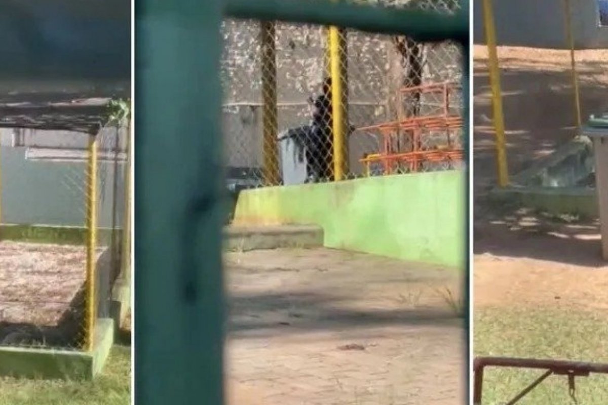 Vídeo: Criança de dois anos é presa em uma "jaula" em uma creche de Sorocaba