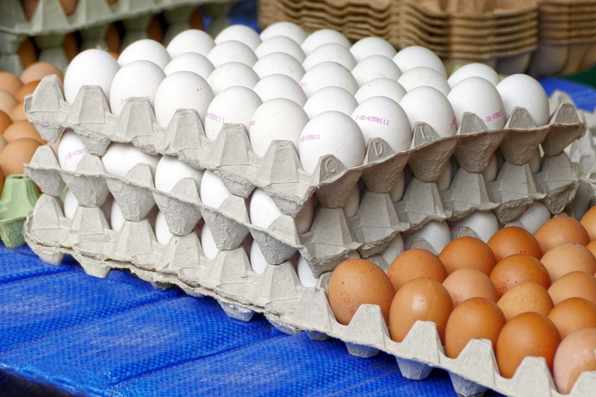 Alimento infantil e ovo de galinha são vilões da prévia da inflação no ano, diz IBGE
