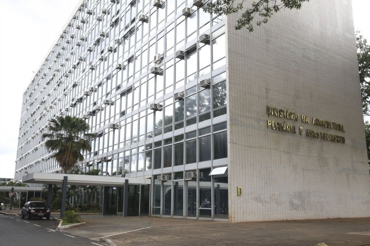 Brasil confirma primeiro caso de gripe aviária em ave doméstica