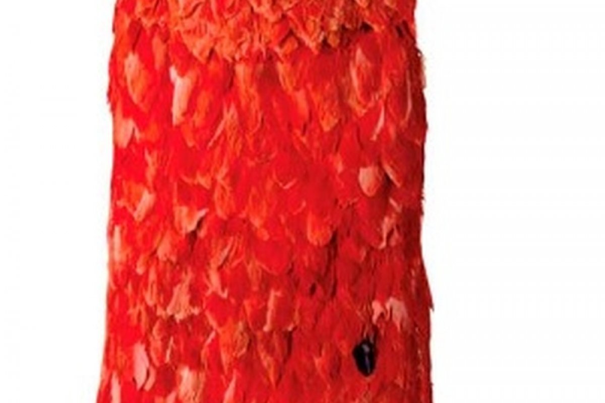 Manto tupinambá levado no período colonial para a Dinamarca será devolvido ao Brasil