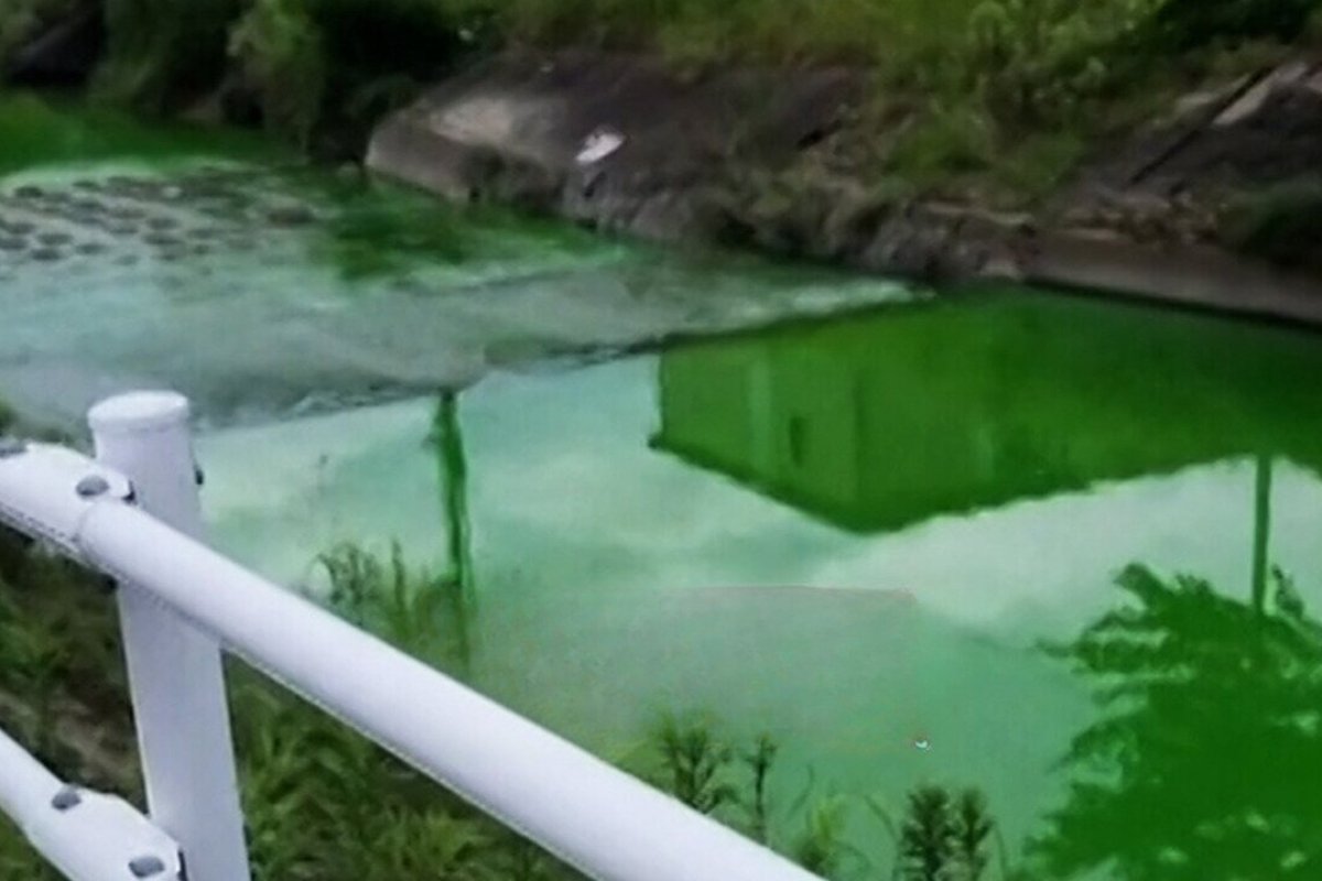 Rio no Japão amanhece verde, causando preocupação em moradores