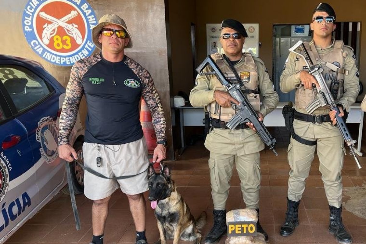 Cadela K9 Kali encontra sete pacotes de maconha em construção em Barreiras