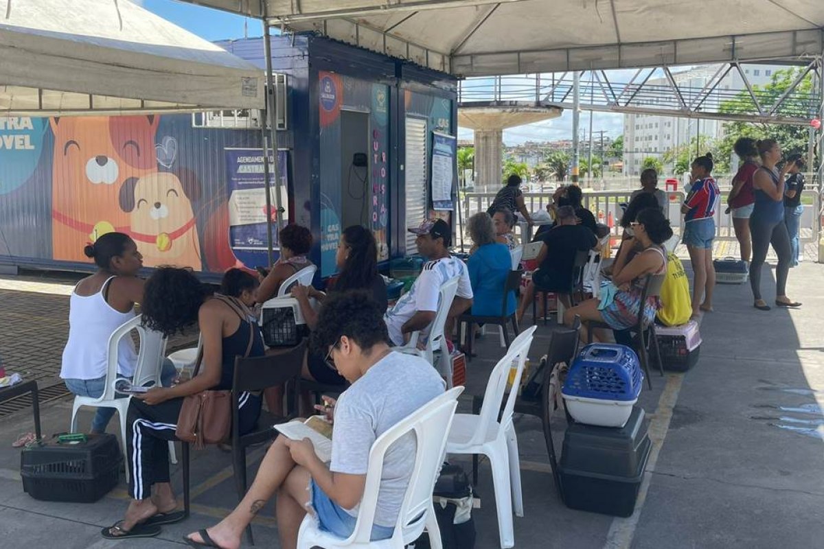 Castramóvel inicia atendimentos gratuitos no Jardim Botânico e Shopping da Bahia