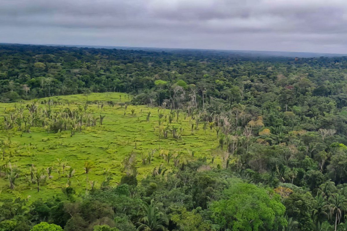 Inpe diz que 20 cidades concentram metade dos alertas de desmatamento na Amazônia