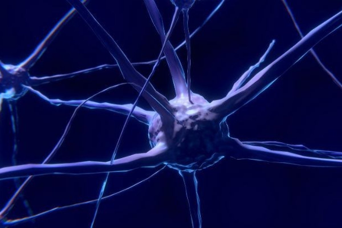 Peru declara emergência de saúde por surto de síndrome de Guillain-Barré