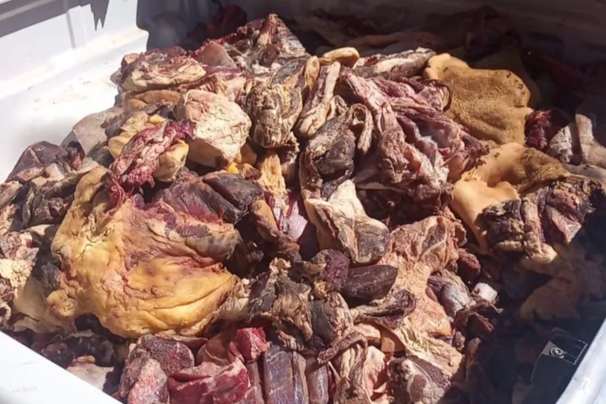 Uma tonelada de carne imprópria para consumo é apreendida no interior da Bahia