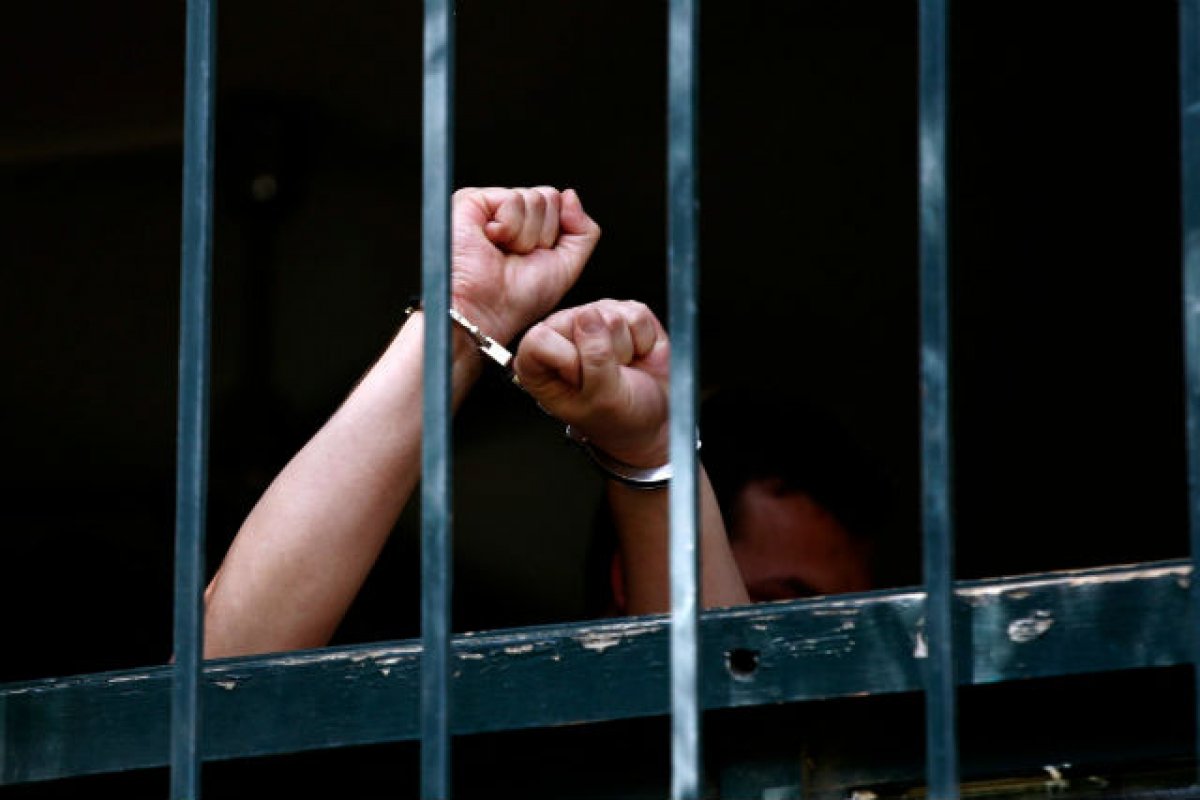 Comissão analisa projeto que aumenta pena para maus-tratos de animais