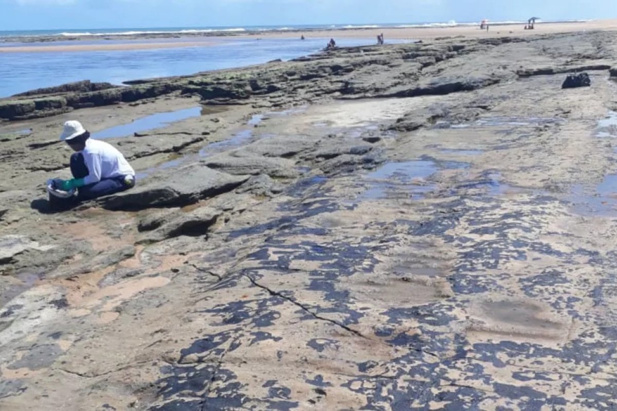 Subaúma: voluntários removem manchas de óleo na praia