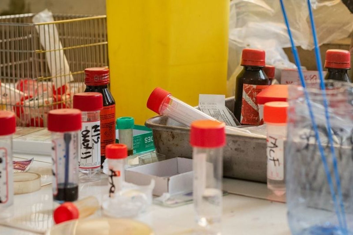 HIV/Aids: Brasil atinge uma das três metas da ONU para acabar com epidemia