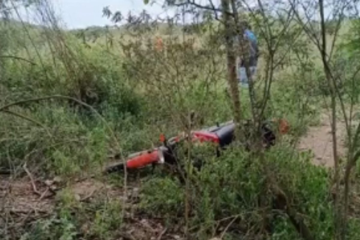 Corpo de professora é encontrado em matagal na BA-120