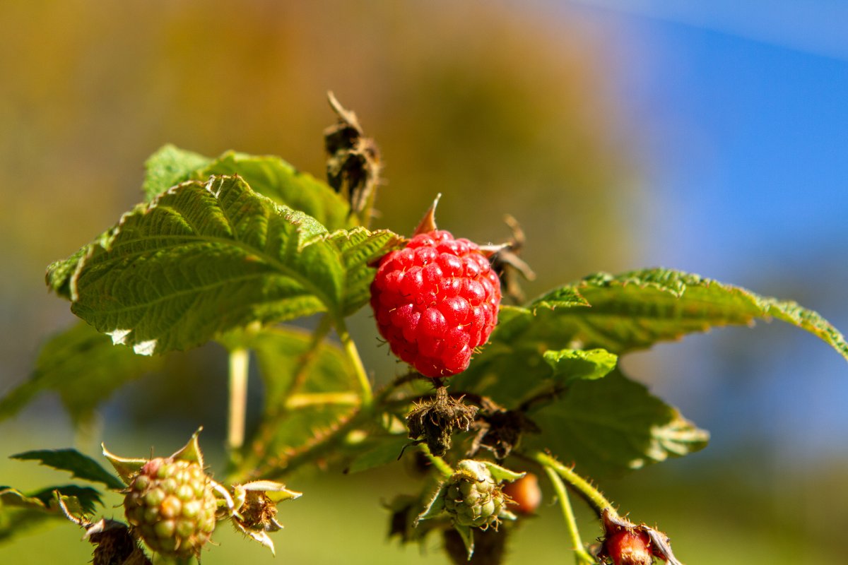 Botanique Hotel & Spa lança 5 programas exclusivos neste segundo semestre!