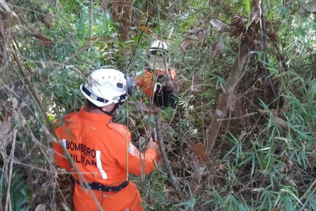 Mulher é resgatada com desnutrição e hipotermia após ficar 6 dias desaparecida em matagal de Porto Seguro