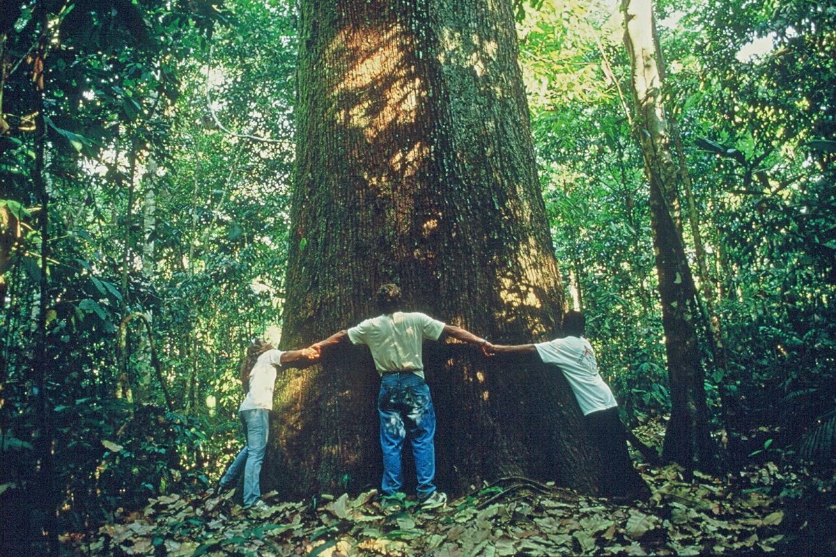 Turismo Regenerativo: Uma nova forma de viajar beneficiando pessoas e lugares!