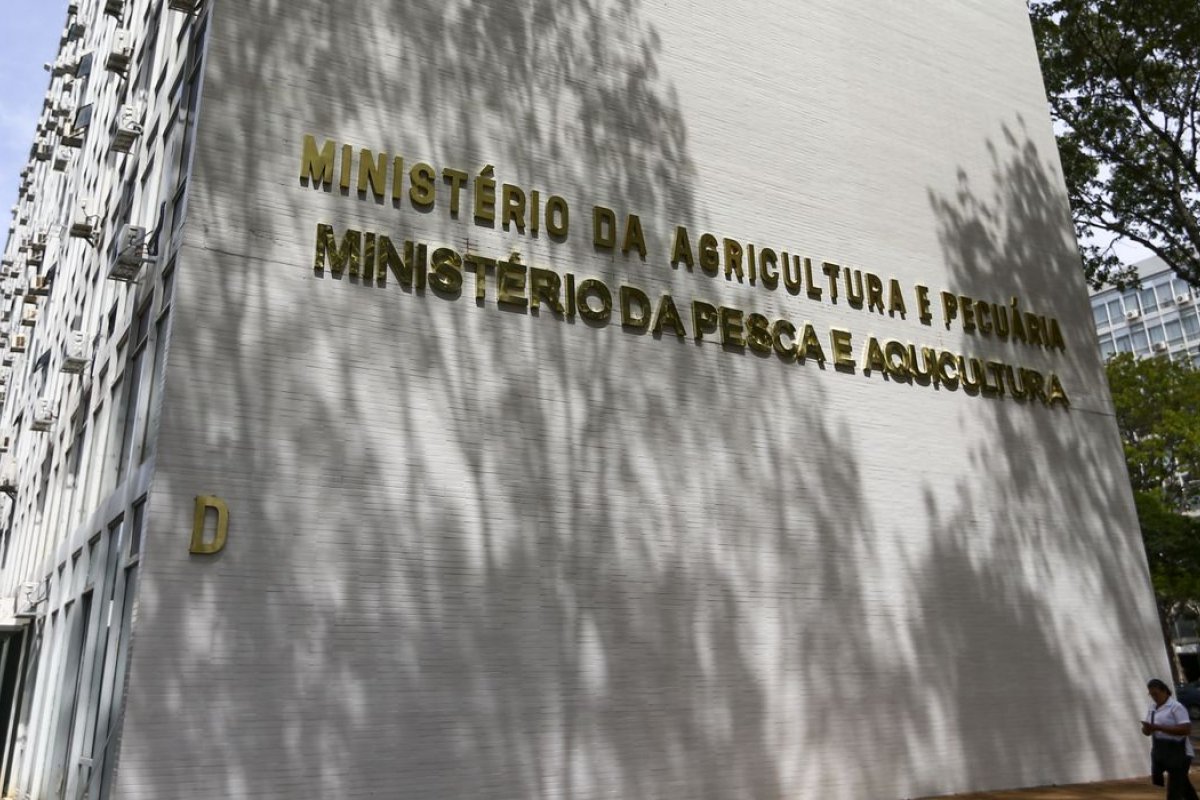 Estados devem declarar emergência zoossanitária por conta da gripe aviária, diz Mapa