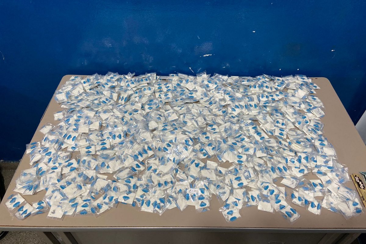 Polícia apreende mais de mil porções de cocaína prontas para venda em Ibotirama