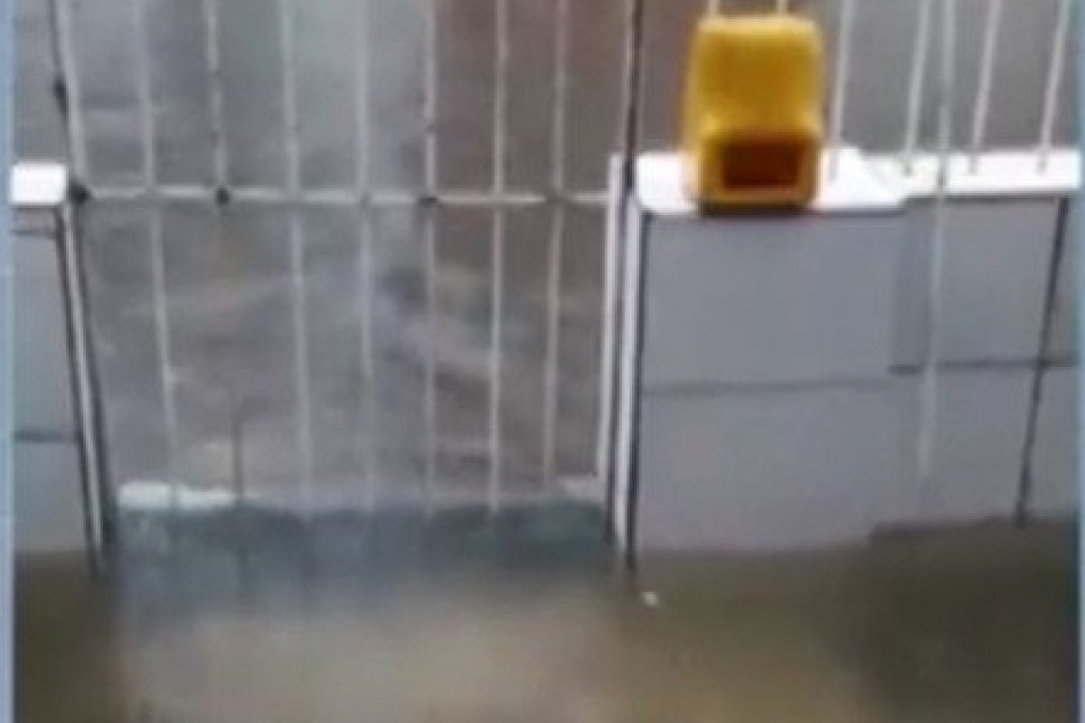 Casa de acolhimento em Salvador passa por dificuldades