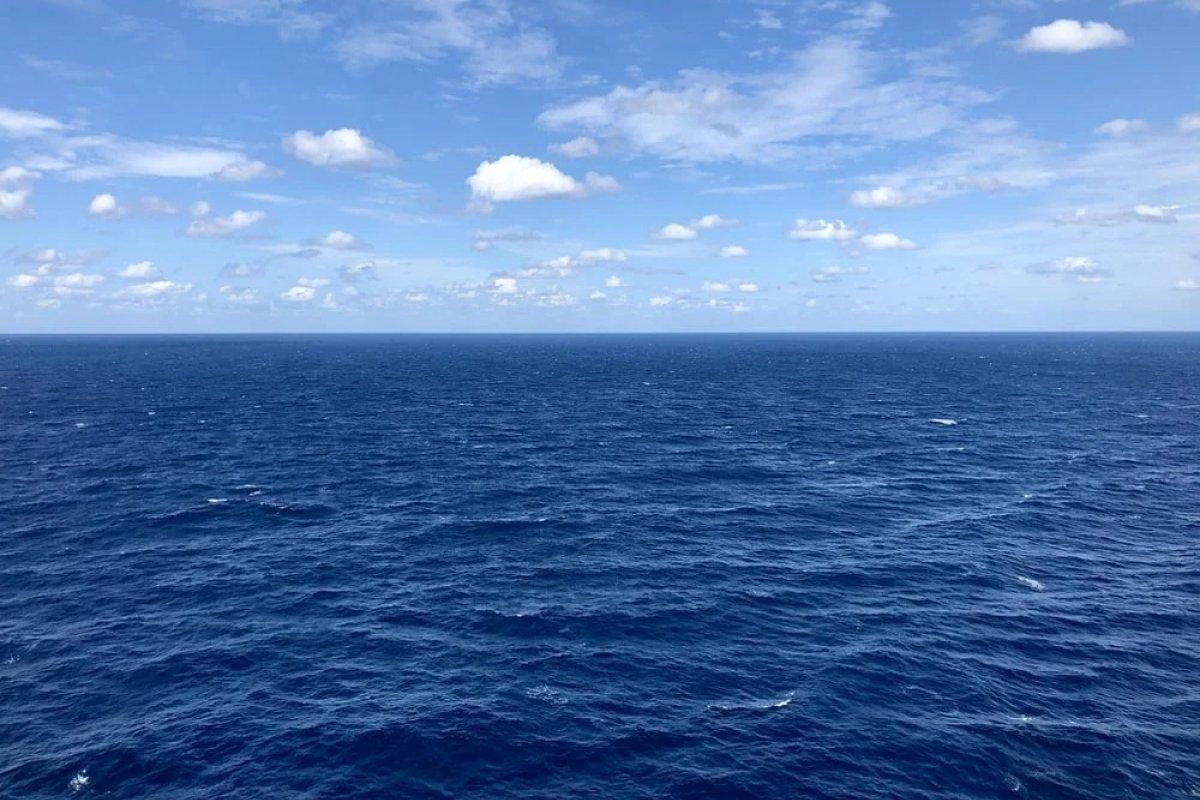 Aquecimento dos oceanos na região de Florida Keys atinge níveis perigosos, alertam especialistas