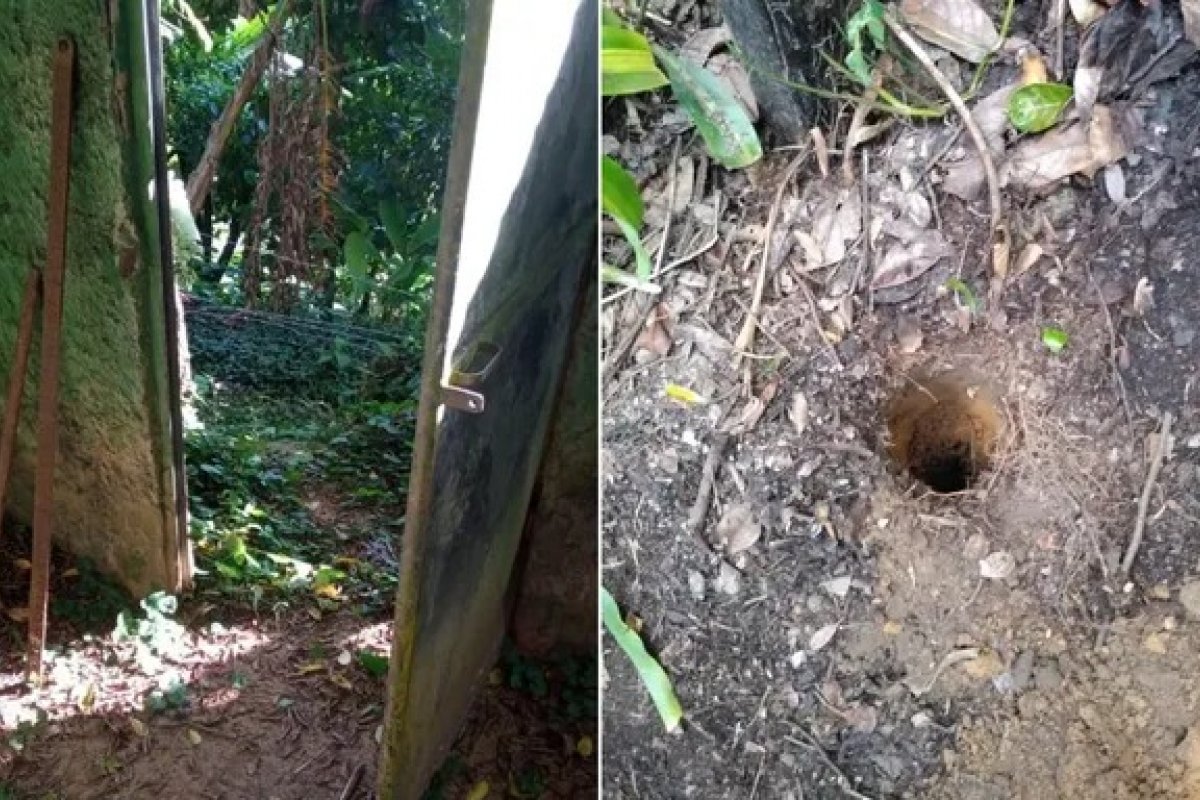 Família da atriz Ingra Lyberato denuncia invasão de chácara histórica em Salvador