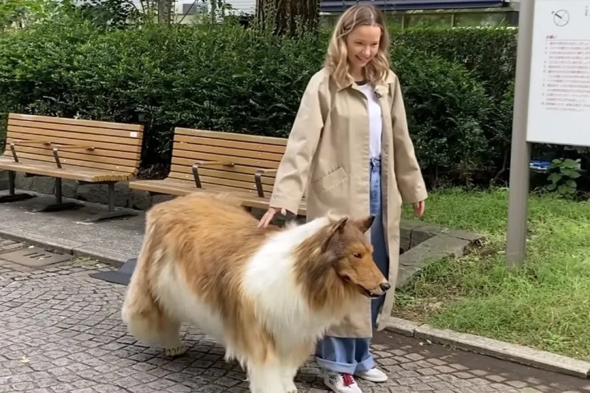 Vídeo: homem que pagou R$ 72 mil em fantasia realista de cachorro faz primeiro passeio na rua