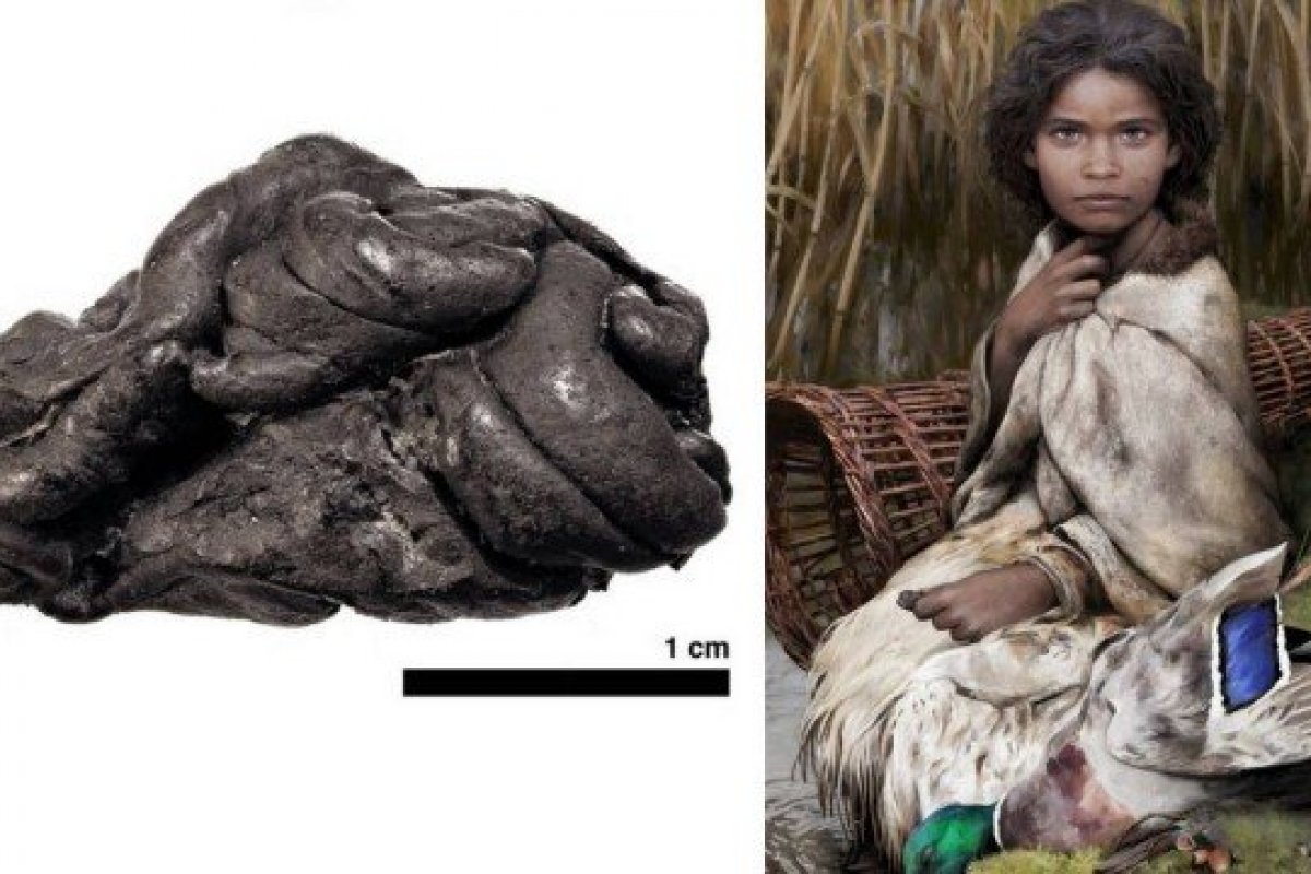 Pesquisadores encontram "goma de mascar" de mais de 5.000 anos