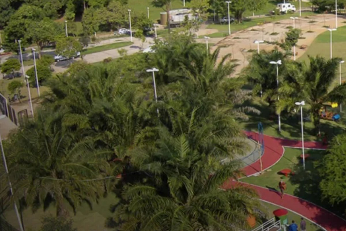 Desmatamento de mata atlântica na Bahia tem redução de 43% em 2023, aponta pesquisa