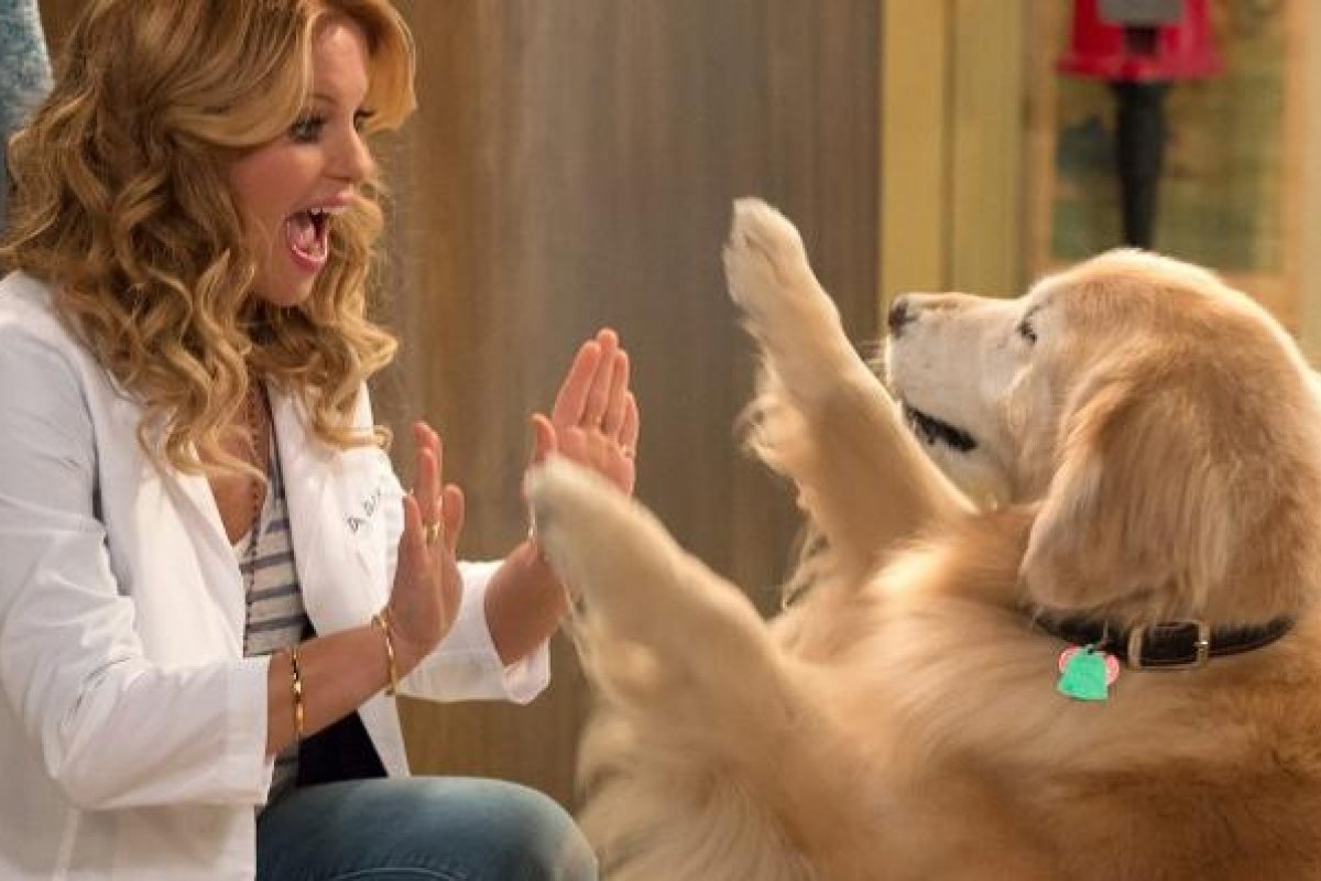 Cachorro de ''Fuller House'' morre aos quatro anos