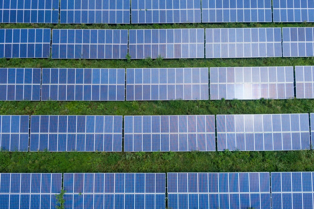 Energia solar cresce cerca de 8 gigawatts (GW) de capacidade no país entre janeiro e julho deste ano