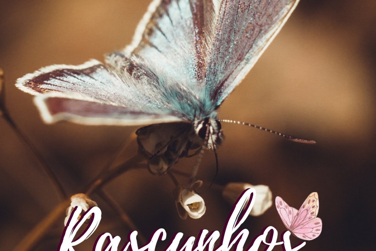 Livro convida leitores a se tornarem escritores!