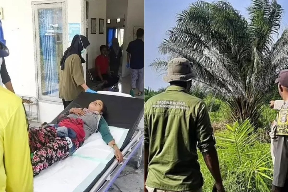 Mulher sobrevive após passar duas horas presa na boca de um crocodilo