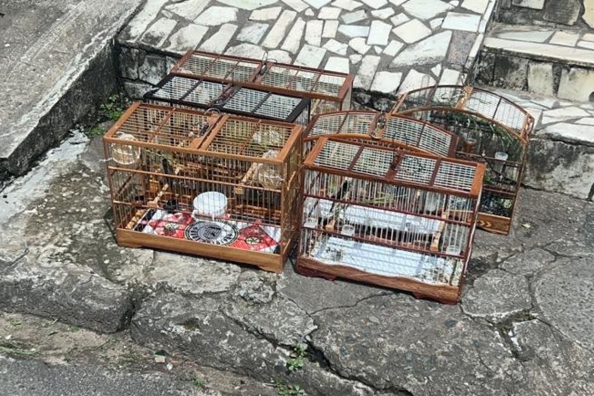 Homens são presos por tráfico e cativeiro de animais silvestres em Itacaranha