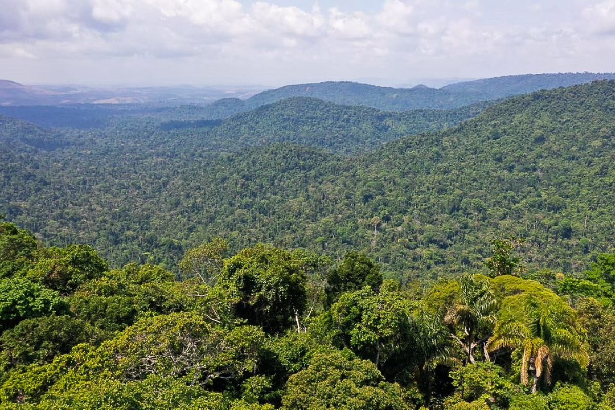 Cúpula da Amazônia reúne líderes de 15 países em busca de cooperação no combate às mudanças climáticas e ao crime organizado