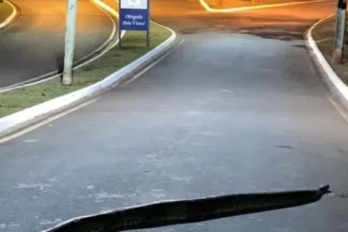 Moradores de condomínio em Araras (SP) encontram sucuri