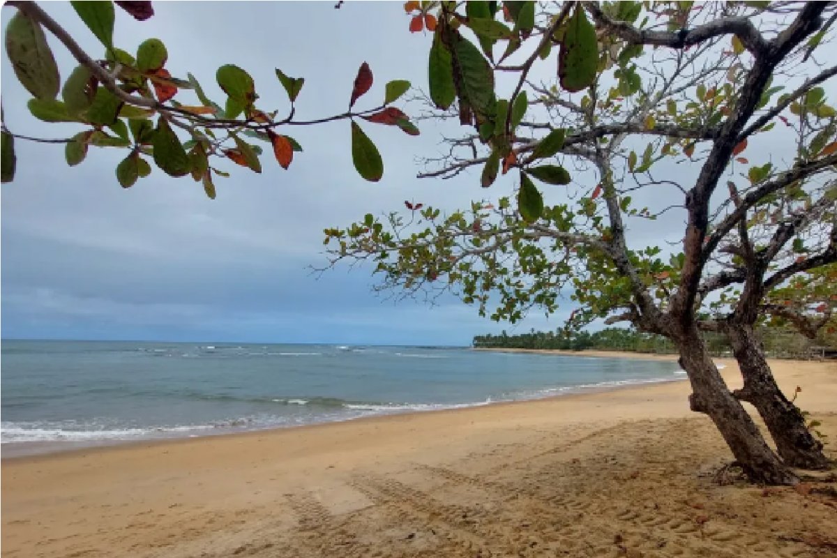 Adolescente de 16 anos morre afogado em Porto Seguro (BA)