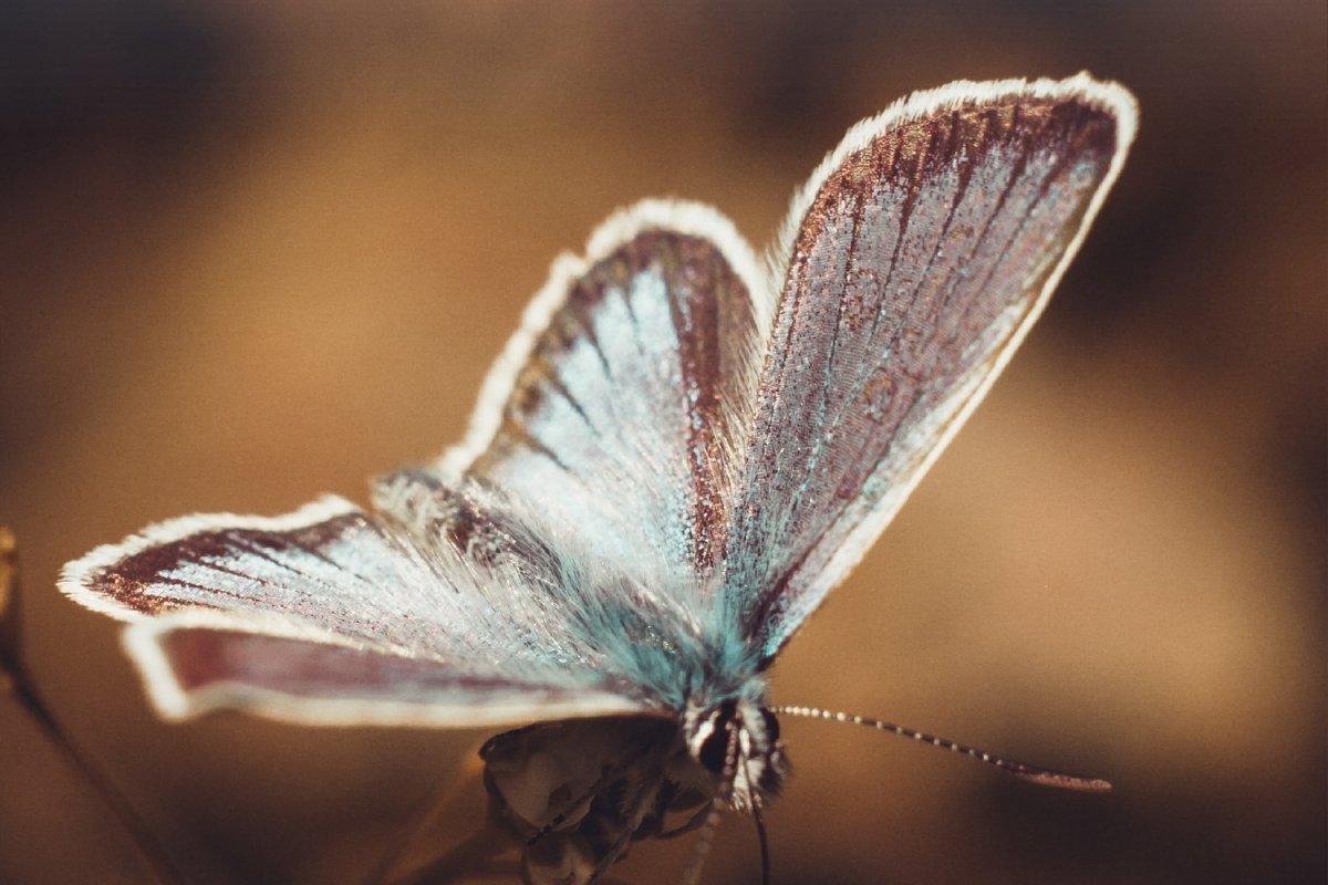Faça as pazes com o passado! 41 poemas para seguir em frente