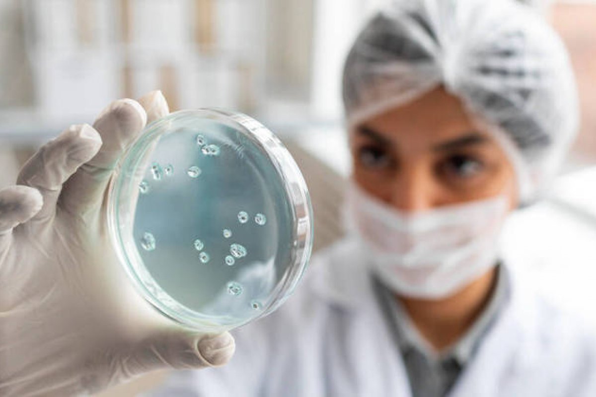 Probiótico é desenvolvido por cientistas para tratar esclerose múltipla, aponta estudo