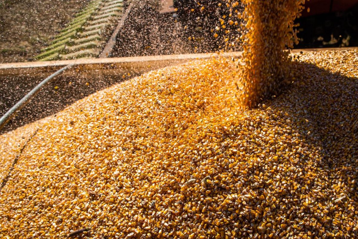 Exportações do agronegócio brasileiro atingem valor recorde de US$ 14,43 bilhões em julho
