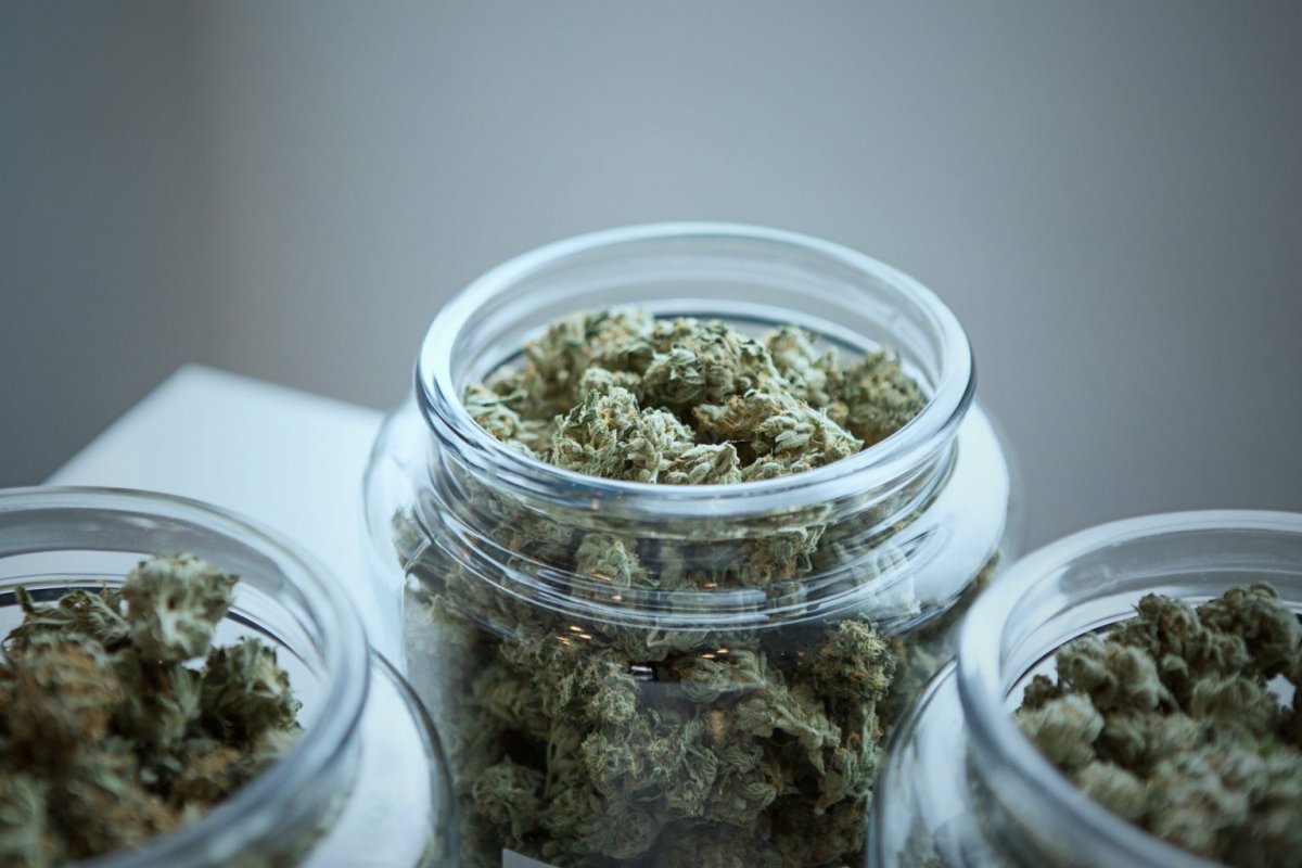 Governo alemão propõe legalização de cannabis para consumo próprio