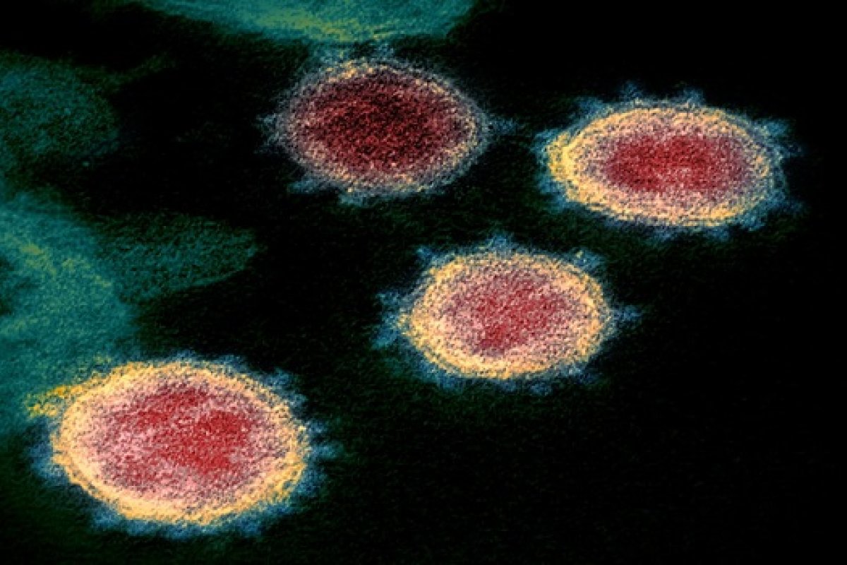 Variantes da COVID-19, identificadas em diversos países, estão levantando preocupações devido a mutações na proteína Spike
