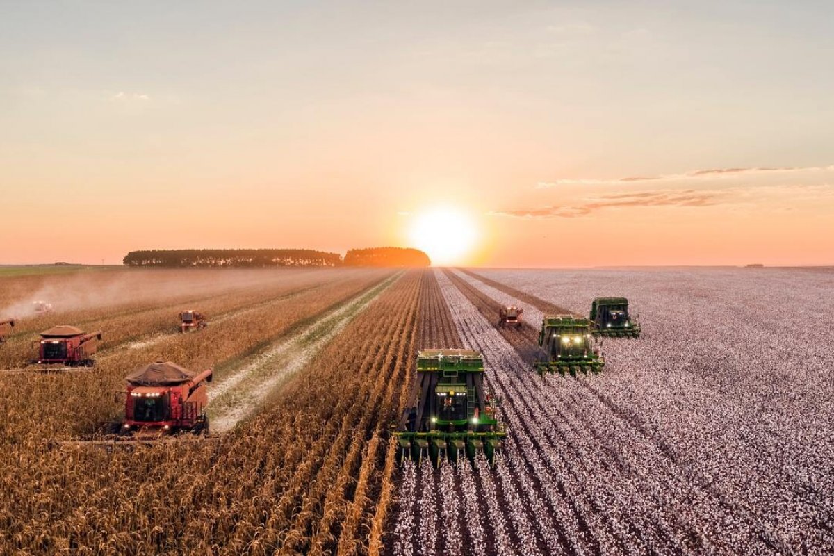 Produção agroindustrial recua 1,2% no 1º semestre, aponta FGV