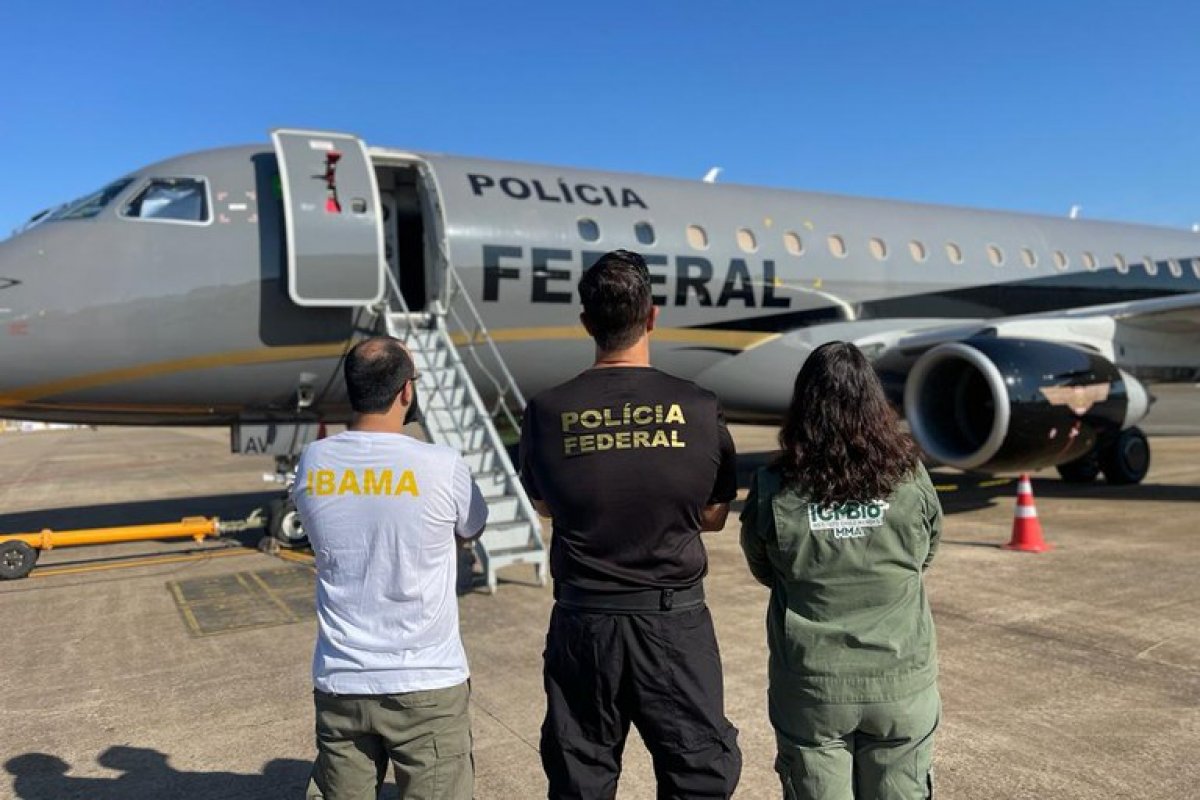 PF realizam ação para repatriação de micos-leões dourados e araras-azuis-de-lear apreendidos no Suriname